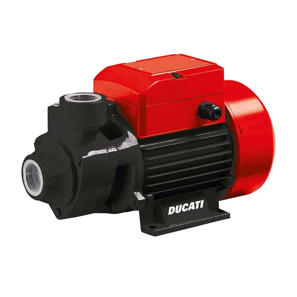 Bomba ladrona 1/2hp Dpp6000s ducati