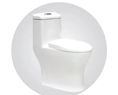 Inodoro PL1010 blanco one piece amocasa