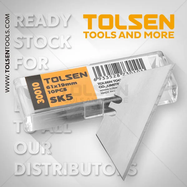 Repuesto P/cuchilla 19mm 10pcs 30010 Tolsen