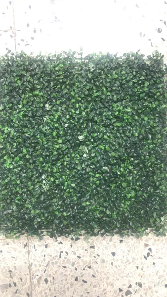 Hiedra Artificial Verde