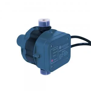 Repuesto p/bomba EPS-01 aquastrong